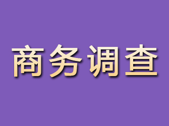 吉县商务调查